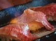 ItamYakiniku Isshou Nishikujo store 5